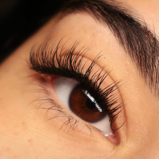 Classic Lash Extensions Training for Beginners