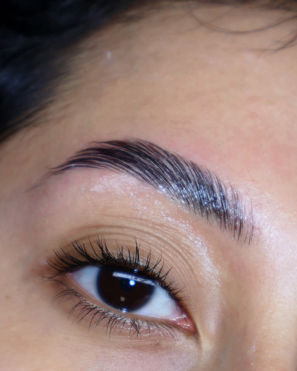 Brow Lamination Training